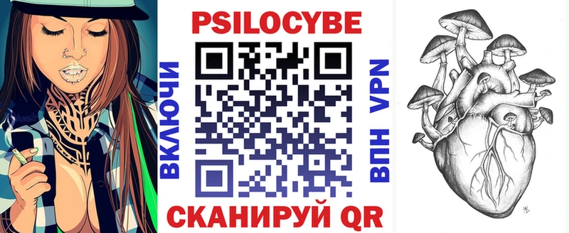 Псилоцибиновые грибы мицелий  Купить  Гагарин 